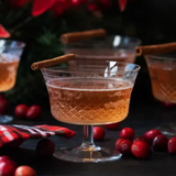 Cranberry Shrub