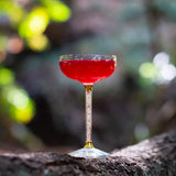 Hibiscus Honey Syrup