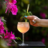 Grape–Fennel Seed Cordial