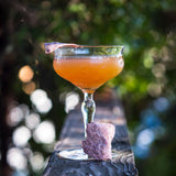 Fibonacci on the Fritz Kit