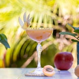 Honeyed Apricot-Apple Syrup