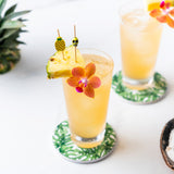 spiced citrus cordial